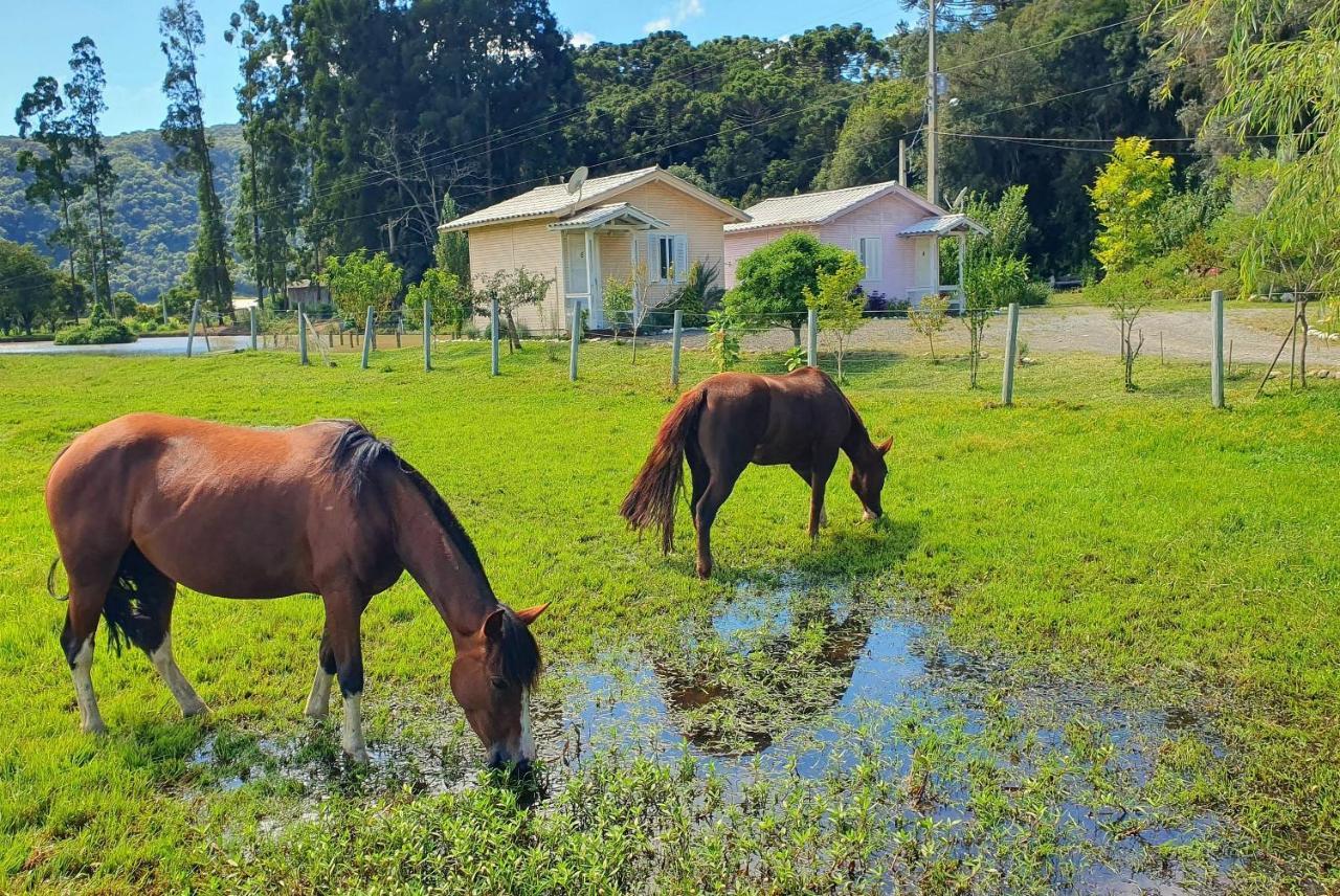 Pousada Mato Verde - Urubici - Sc Kültér fotó